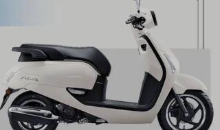 新大洲本田125报价 新大洲本田摩托报价