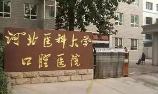 中国研究生信息网