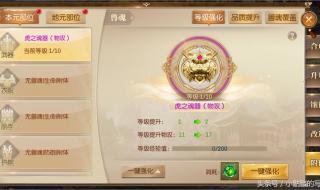 天龙八部关于宠物附体 天龙八部兽魂附体