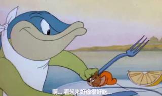 《猫和老鼠》为什么如此受欢迎 河南版猫和老鼠全集