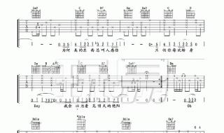 ‘阳光下的花朵,’歌词：我们是阳光下的花朵,万紫千红开遍那山河,心灵纯洁,目光清澈,八荣八耻记在心窝 阳光下的星星歌词