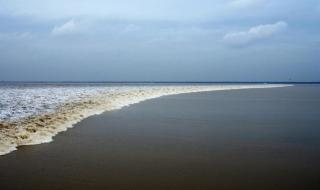 初一钱塘江观潮时间 钱塘江涨潮时间
