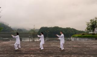 杨式太极拳85式教学