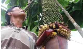 如果我们在一起的话,对以后有什么打算 如果我们能在一起