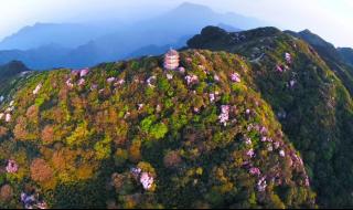 重庆到金佛山路线