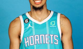 nba黄蜂队改成什么名字了 为什么黄蜂队现在改叫山猫队了